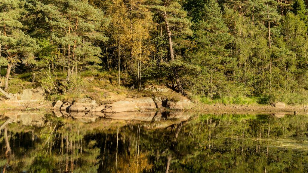 Vattenbrist 2026: 8 saker att veta om det torra läget i södra Sverige